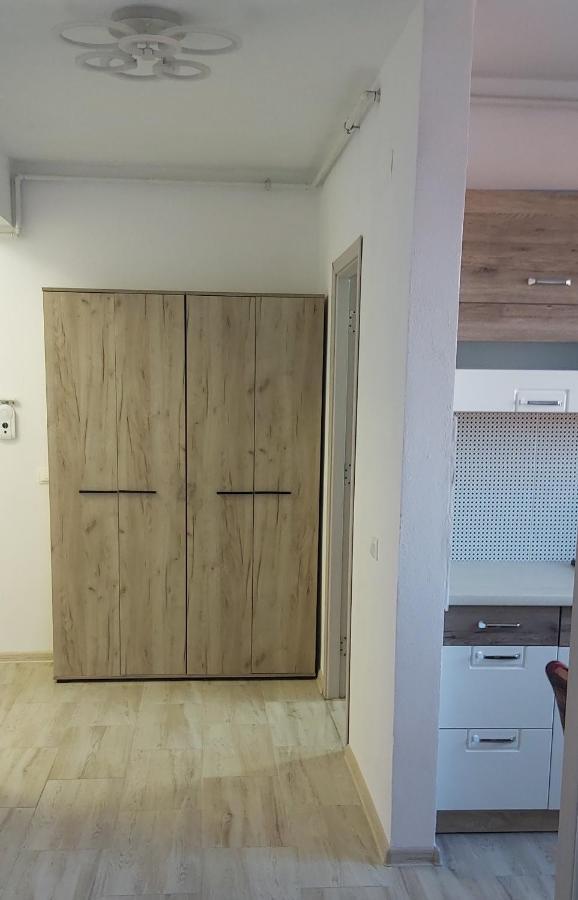 Studio Elisa Apartment Caransebes Exterior photo