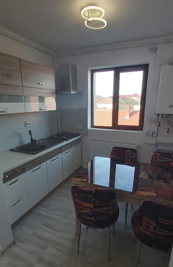 Studio Elisa Apartment Caransebes Exterior photo